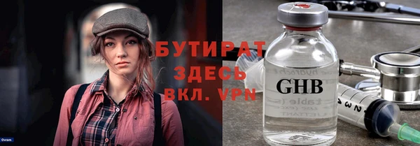 индика Алексин