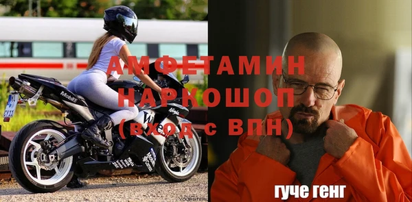 индика Алексин