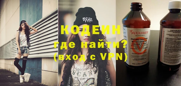 индика Алексин