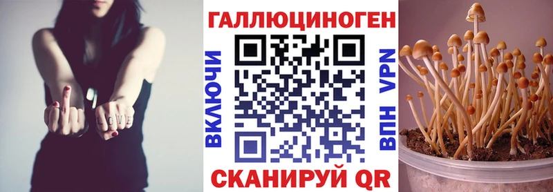 Галлюциногенные грибы Magic Shrooms Кохма
