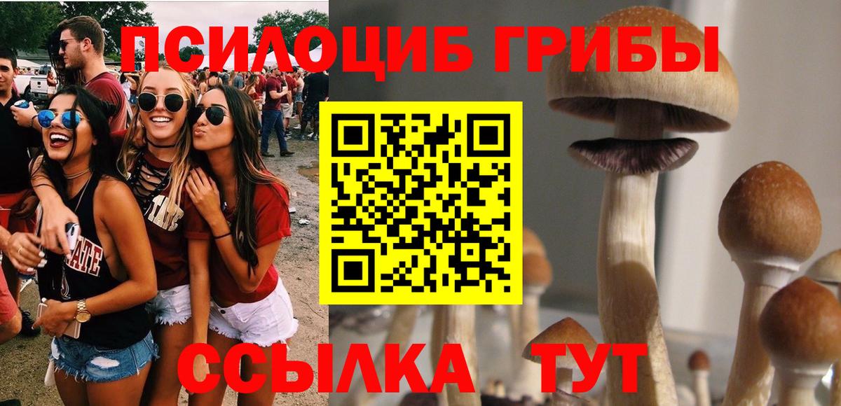 Псилоцибиновые грибы ЛСД Кохма