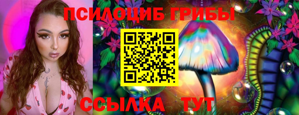 Кохма  как найти закладки  Вход с VPN  Галлюциногенные грибы мухоморы 